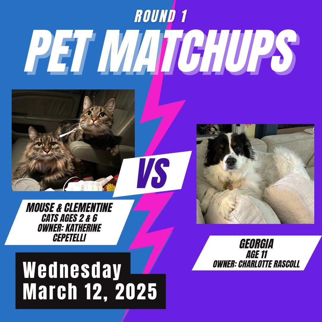 JLHS SAVE Promise Club tweet media