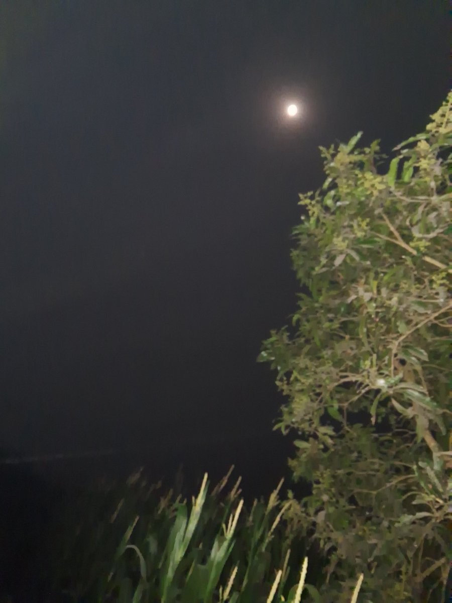 Good night dear friend 🧡 

आप सभी दोस्तों को good night