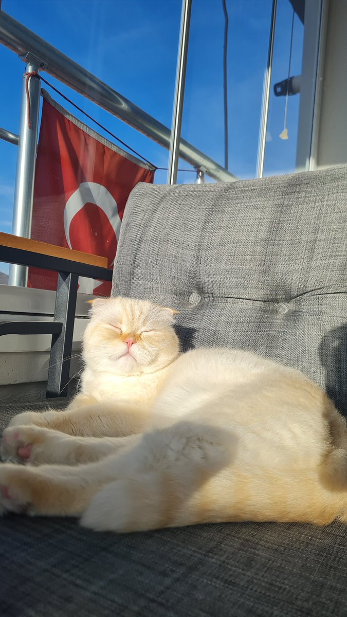 ozlmlky's tweet photo. Yaşaşın ıykımıc çine bedel kıykımıç https://t.co/MX8SDa4LUU