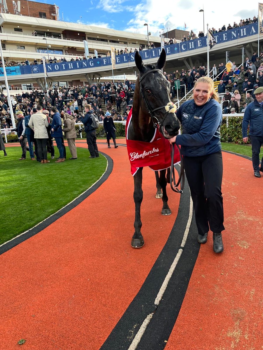 Tattersalls Ireland (@tattersalls_ie) on Twitter photo 🏆 Store sale graduate Stumptown provided a memorable success for <a href="/gavincromwell1/">GavinCromwell Racing</a> and jockey <a href="/donoghue_keith/">Keith Donoghue</a> in the Cross Country Chase.
🤝 Owned by the Furze Bush Syndicate, he was consigned as a Store by Churchlands Stables and purchased by David Byrne Bloodstock.
#Cheltenham 🏆 Store sale graduate Stumptown provided a memorable success for <a href="/gavincromwell1/">GavinCromwell Racing</a> and jockey <a href="/donoghue_keith/">Keith Donoghue</a> in the Cross Country Chase.
🤝 Owned by the Furze Bush Syndicate, he was consigned as a Store by Churchlands Stables and purchased by David Byrne Bloodstock.
#Cheltenham