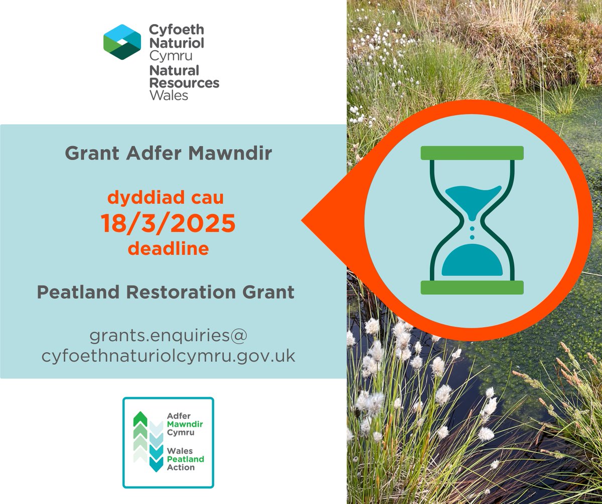 @PeatlandCymru (@peatlandcymru) on Twitter photo Less than a week before the deadline!
ยฃ10K-ยฃ250K grants to develop / deliver peatland restoration
naturalresources.wales/about-us/grantโฆ
#WalesPeatlandAction
#HighNatureLowCarbon
Guidance webinar: youtu.be/MyWcDRgYtEc
<a href="/NatResWales/">Cyfoeth Naturiol Cymru | Natural Resources Wales</a> <a href="/WGClimateChange/">Welsh Government Climate Change</a> <a href="/NFUCymru/">NFU Cymru ๐</a> <a href="/FUW_UAC/">FUW - Undeb Amaethwyr Cymru</a> Less than a week before the deadline!
ยฃ10K-ยฃ250K grants to develop / deliver peatland restoration
naturalresources.wales/about-us/grantโฆ
#WalesPeatlandAction
#HighNatureLowCarbon
Guidance webinar: youtu.be/MyWcDRgYtEc
<a href="/NatResWales/">Cyfoeth Naturiol Cymru | Natural Resources Wales</a> <a href="/WGClimateChange/">Welsh Government Climate Change</a> <a href="/NFUCymru/">NFU Cymru ๐</a> <a href="/FUW_UAC/">FUW - Undeb Amaethwyr Cymru</a>