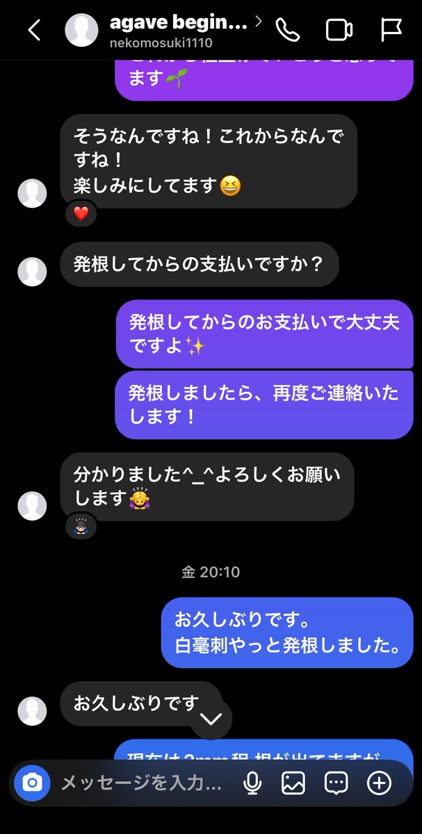 ryuplax tweet picture