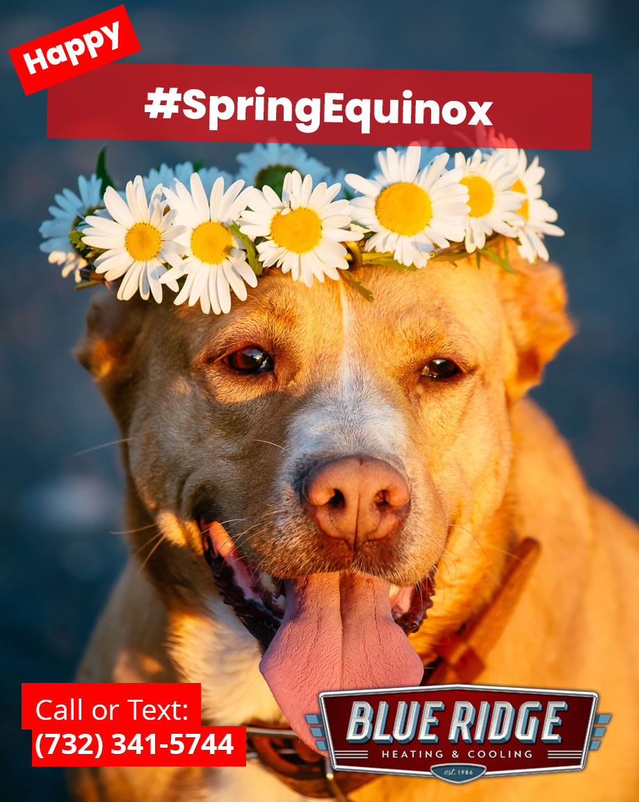 BlueRidgeHVAC's tweet image. Hello, spring! 🌼 Is your AC ready? A seasonal checkup keeps your home cool when temps start rising. 🌞 #SpringEquinox #ACCheckup