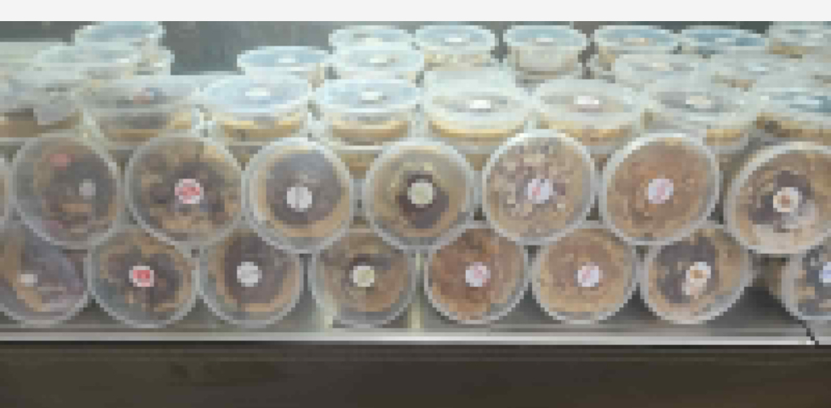 Market Place tweet media