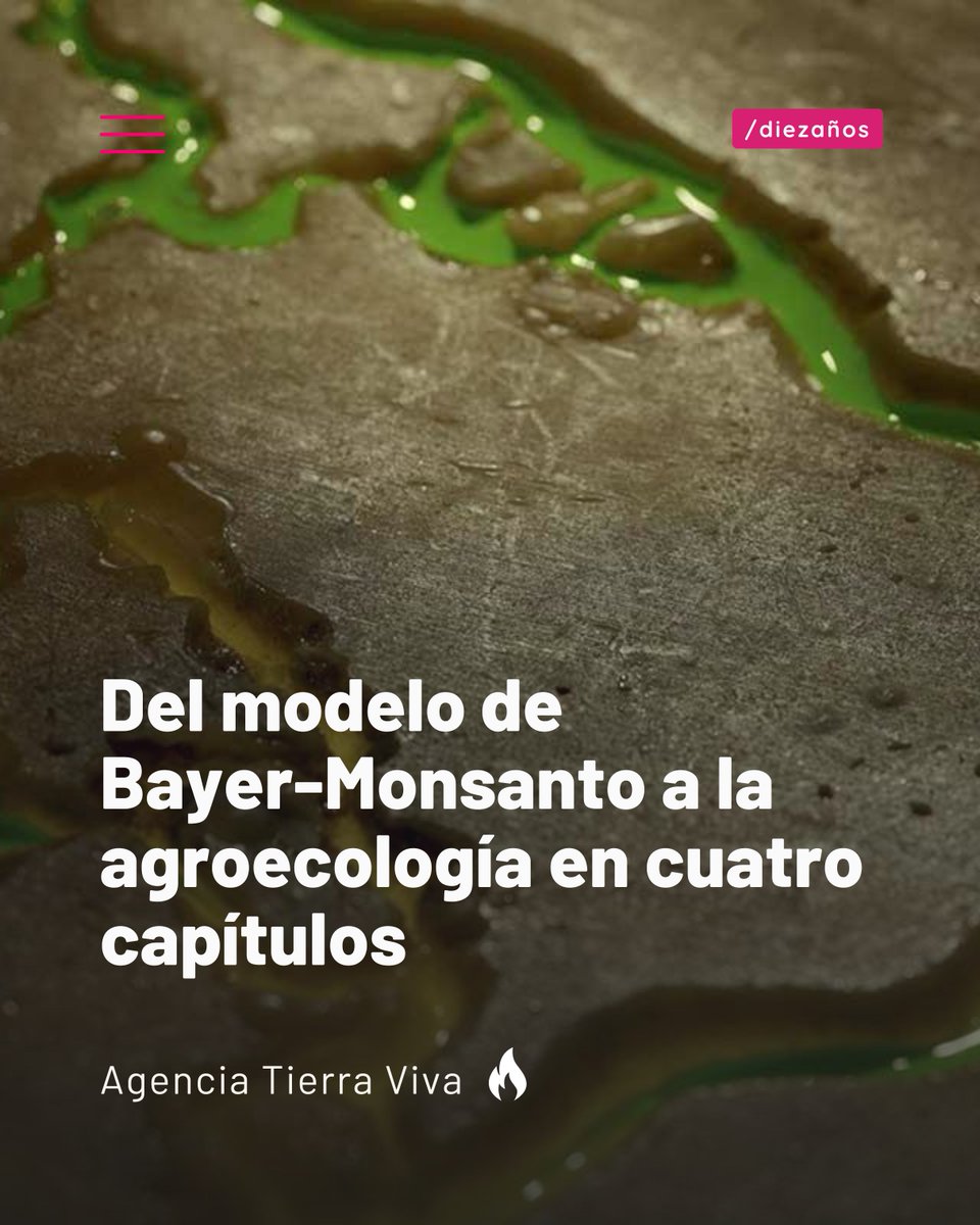 ZUR pueblo de voces 📢🔥 tweet media