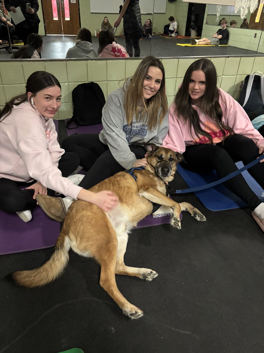 Thanks again to Top Dog Therapy for the visit from our furry friends! Cody was the King of Mindfulness today! <a href="/EFWarriors/">Elizabeth Forward HS</a>