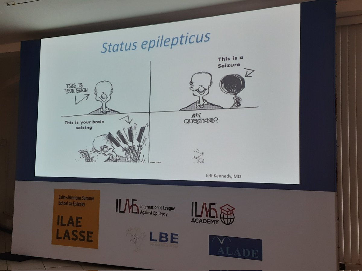 Visto na XVIII LASSE - Latin American Summer School on Epilepsy.
De 07 a 15 de Março de 2025.
São Paulo - Brasil.