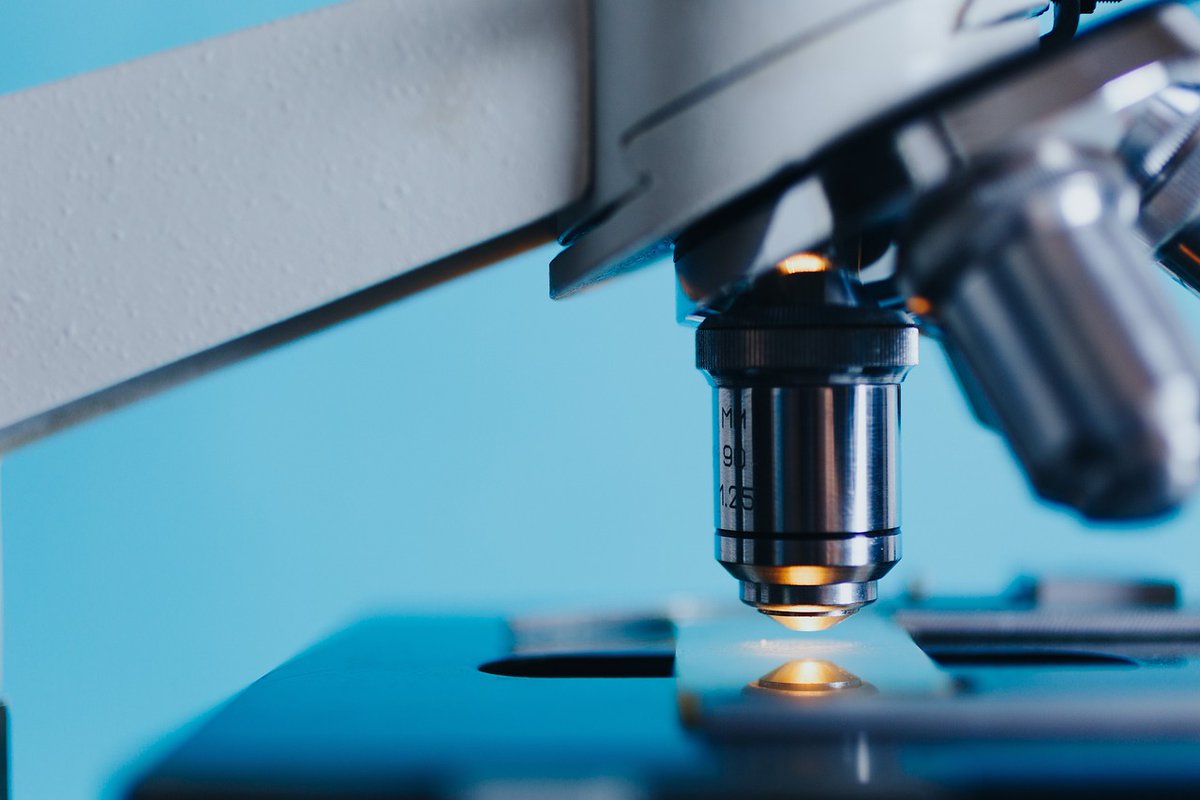 S_N_Journal's tweet image. #ArticleOfTheWeek: How are science & nonreligion interconnected in the Anglophone West?
R. Catto, R. Shillitoe, S. H. Jones, T. Kaden & F. Elsdon-Baker analyze how nonreligious life scientists & the public in Canada/UK perceive science & religion
🔗Link: secularismandnonreligion.org/articles/10.53…