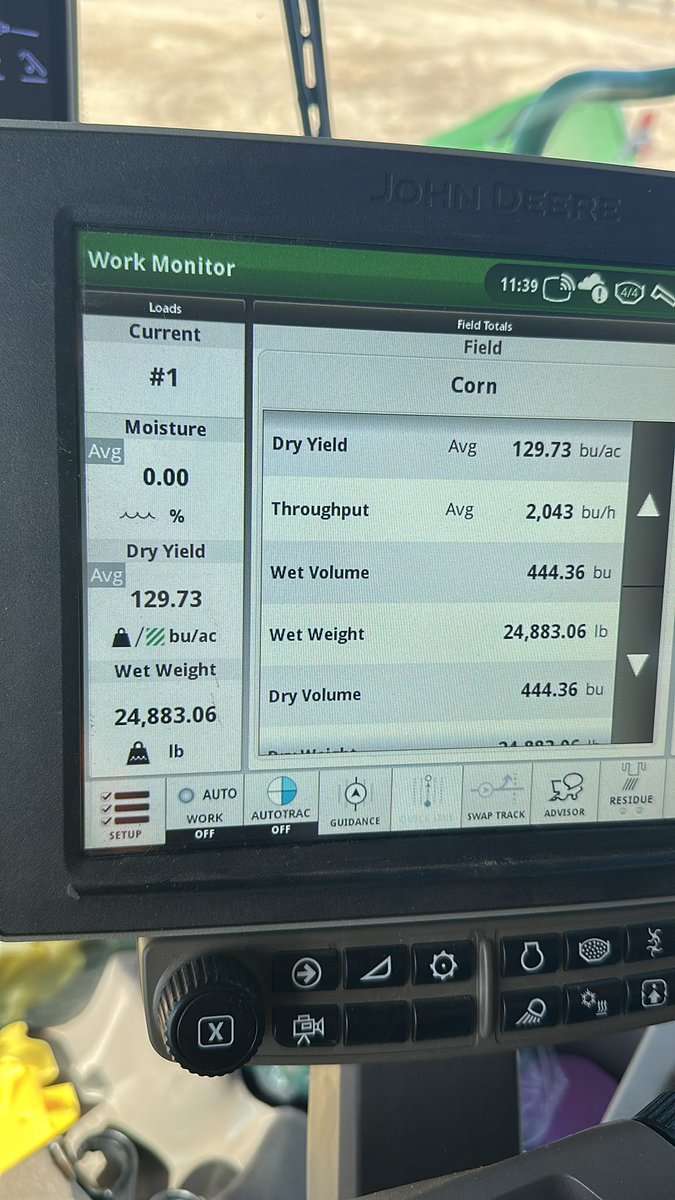 According to the long term weather models, this food plot might be the highest yielding corn I pick in '25!!