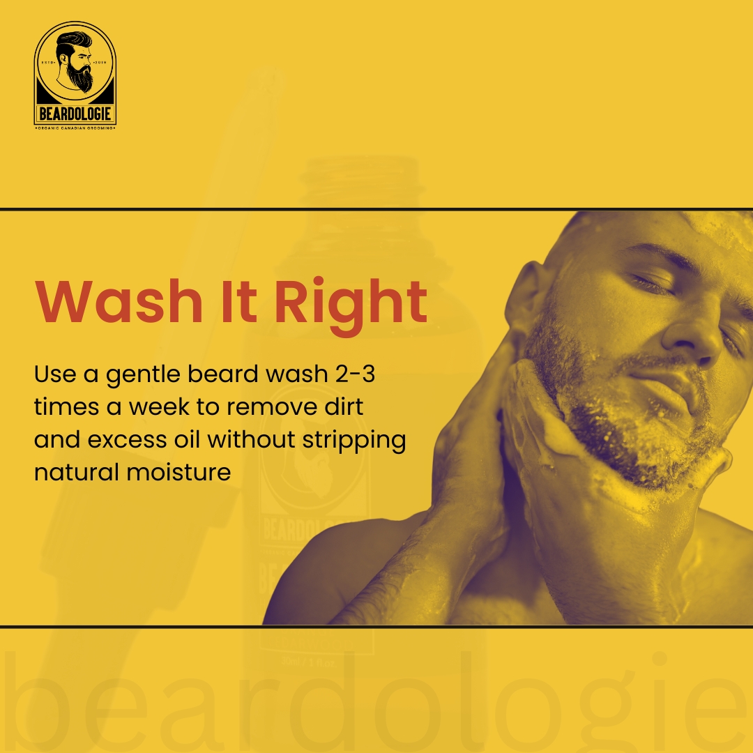 beardologie's tweet photo. ✨ Want a beard that looks sharp and feels amazing? Follow these beard care tips &amp; tricks to keep it healthy, soft, and full!

💡 Pro Tip: Using Beardologie Beard Oil daily helps nourish your beard, reduce itchiness, and promote growth. Don’t just grow it—own it! 💪 https://t.co/K85RhHkziM