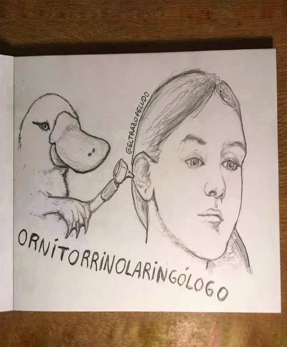 ArteNaco's tweet photo. https://t.co/yYwHDOE5c7