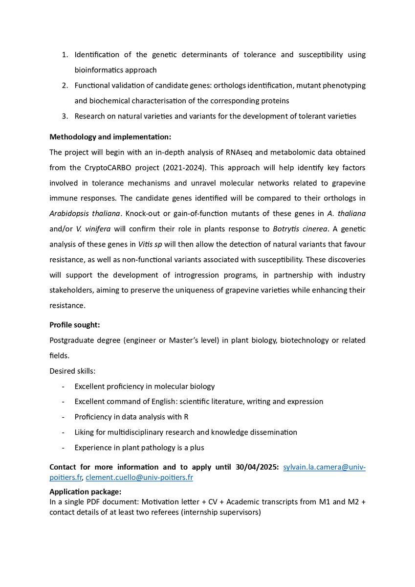 ClƩment Cuello, PhD (@drclementcuello) on Twitter photo Dear network,
We are looking for our future #PhDstudent to identify new determinants of #GrapevineResistance to Botrytis cinerea.
Join <a href="/EBI_LabPoitiers/">Laboratoire EBI</a> from October 2025.
Please apply before 30 April 2025.
Please RT
#PhDoffer #phytopathology #Opportunity <a href="/LaCameraSEVE/">Sylvain La Camera</a> Dear network,
We are looking for our future #PhDstudent to identify new determinants of #GrapevineResistance to Botrytis cinerea.
Join <a href="/EBI_LabPoitiers/">Laboratoire EBI</a> from October 2025.
Please apply before 30 April 2025.
Please RT
#PhDoffer #phytopathology #Opportunity <a href="/LaCameraSEVE/">Sylvain La Camera</a>