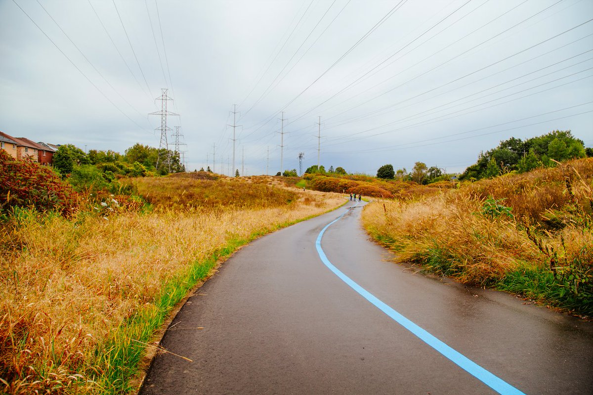 TheMeadoway tweet media