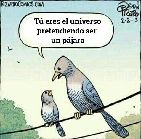 LealtadSabia's tweet photo. https://t.co/86bFzBJ3n6