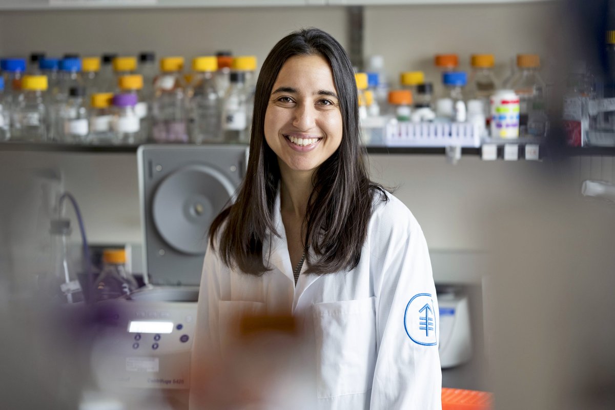 Memorial Sloan Kettering Cancer Center tweet media