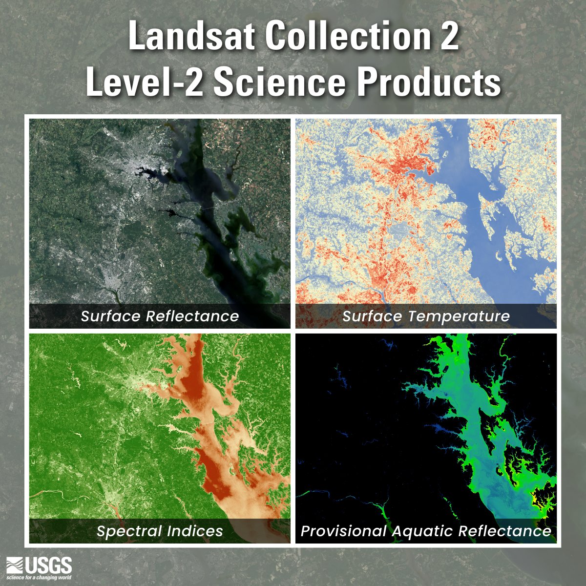 USGSLandsat's tweet image. Did you know that the USGS provides research-quality, applications-ready #Landsat science products? Level-2 scene-based science products include #SurfaceReflectance, #SurfaceTemperature, #SpectralIndices, and Provisional #AquaticReflectance. More here: ow.ly/VNAM50VgboZ