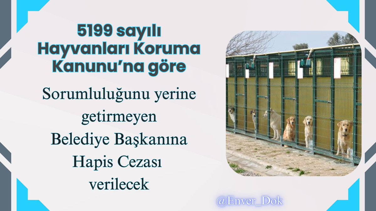 5199 sayılı Hayvanları Koruma Kanunu’nun “Yerel yönetimlerin sorumluluğu” başlıklı ek 1. maddesi uyarınca; hayvan bakımevi kurulması için gerekli kaynağı ayırmayan Belediye Başkanı ve Meclis Üyeleri ile ayrılan kaynağı hayvan bakımevi kurması, sahipsiz hayvanların toplanması,