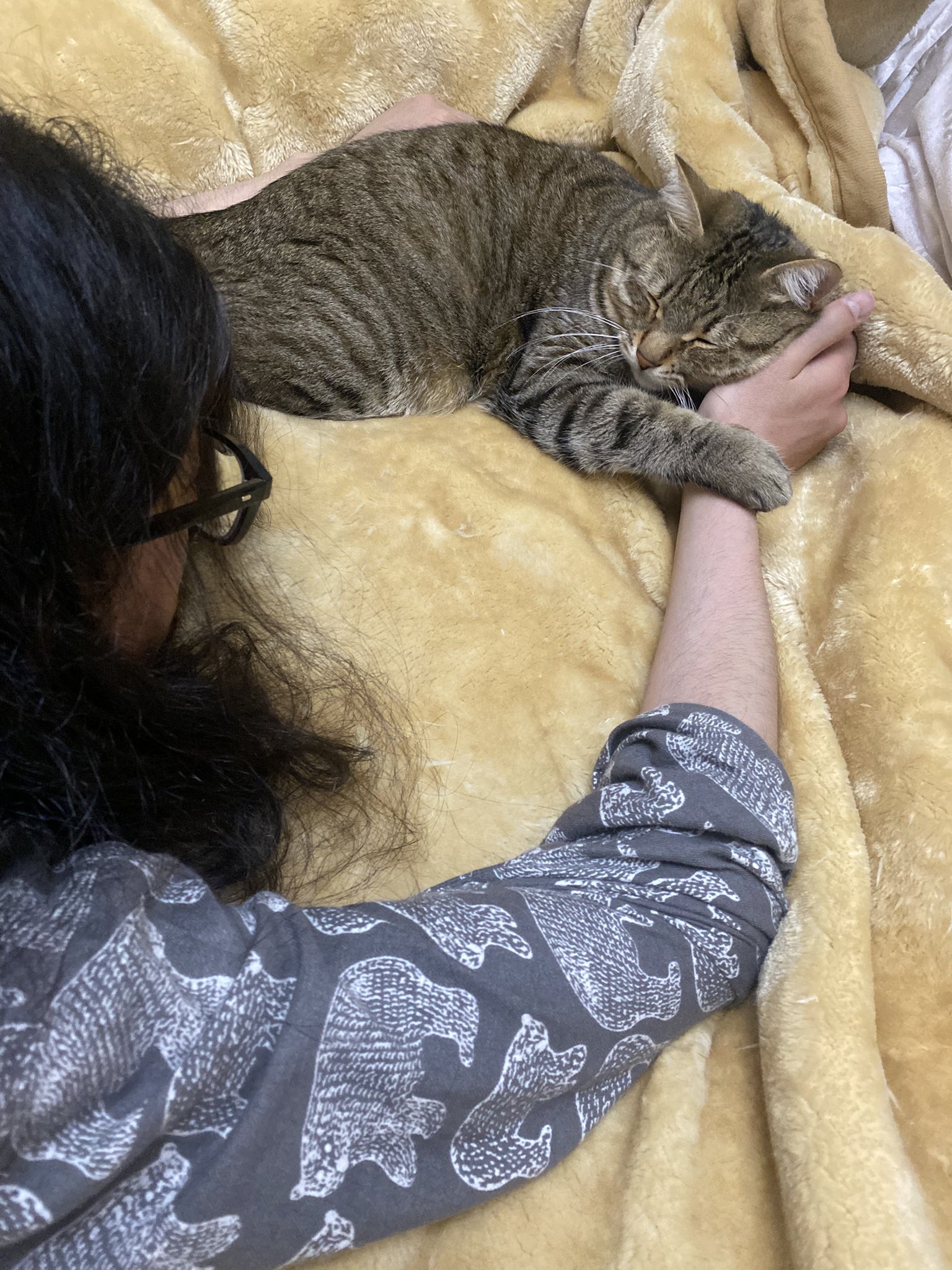 七四六家の拾い猫⭐︎まろっく様 (@Marock_0918) / X
