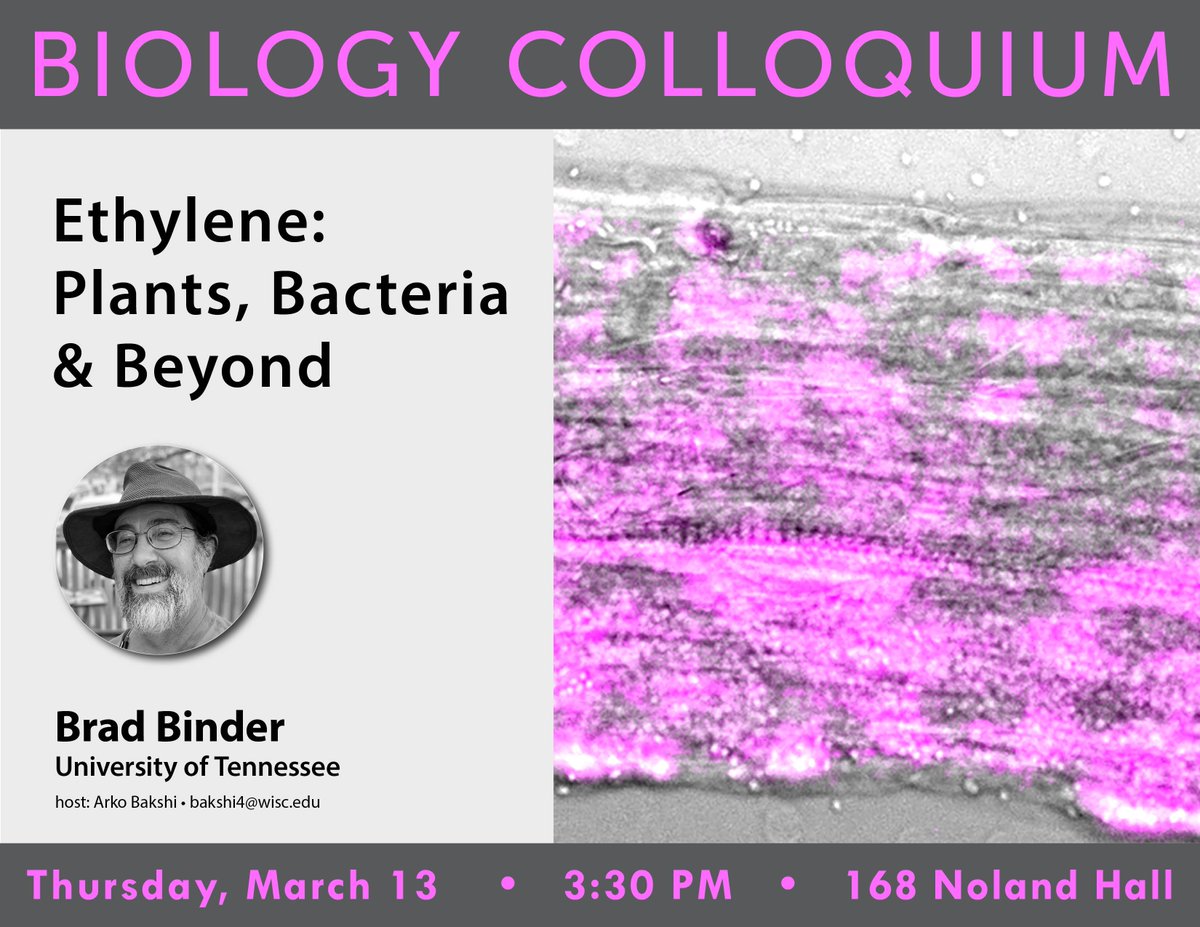 UW-Madison Biology Major (@uwbiomajor) on Twitter photo Hey #BioBadgers! This Thursday, March 13th, <a href="/UWiBio/">UW-Madison iBio</a> will have Brad Binder (<a href="/UTKnoxville/">UT Knoxville</a>) speaking at Biology Colloquium. Please join us at 3:30 pm in 168 Noland Hall for: “Ethylene: Plants, Bacteria & Beyond” Hey #BioBadgers! This Thursday, March 13th, <a href="/UWiBio/">UW-Madison iBio</a> will have Brad Binder (<a href="/UTKnoxville/">UT Knoxville</a>) speaking at Biology Colloquium. Please join us at 3:30 pm in 168 Noland Hall for: “Ethylene: Plants, Bacteria & Beyond”