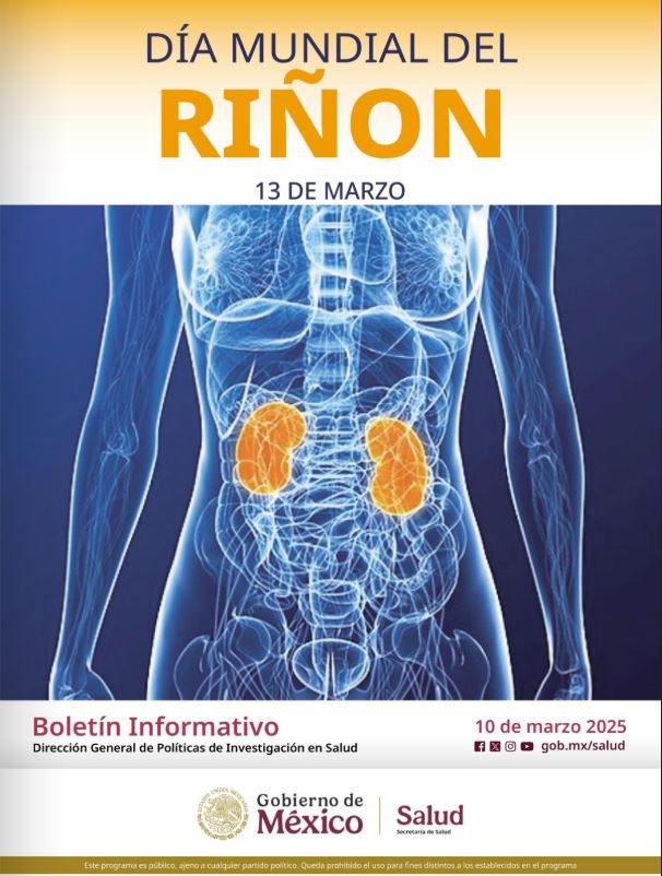Ya se encuentra disponible el boletín informativo de la Dirección General de Políticas de Investigación en Salud; aquí encontrarás información del #20CONGISP 📝

🔗 Consulta: calameo.com/read/007872680…