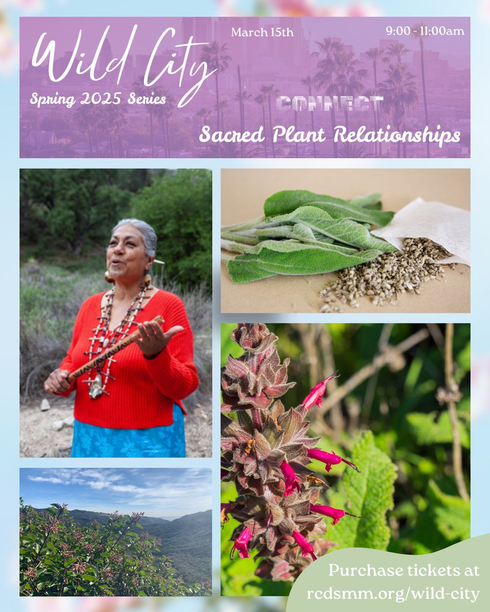 This is your last chance to snag tickets to our next WiLD CITY Workshop! Join Tina Orduno Calderon as she guides participants in connecting with native plant relatives &amp; teaches us how to create our own teabags. ☕Book your adventure today: rcdsmm.org/wild-city/