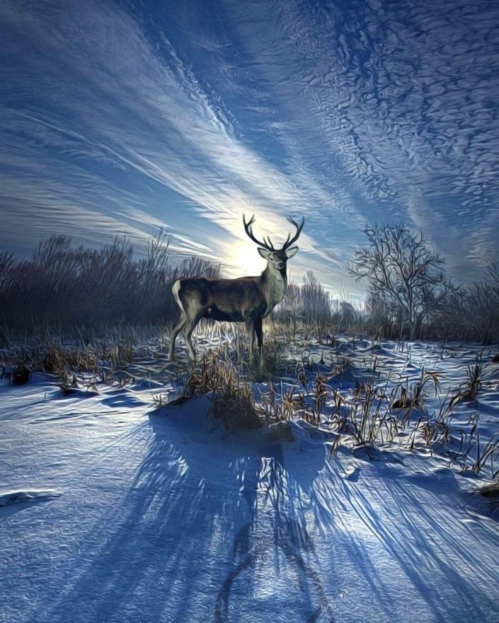 iloveitalyy's tweet photo. King 👑 of the Land 🦌⛰🦌
#deer #antlers #hunting #bluesky #SnowySpace #snow #Cloudstratus #clouds #brrr https://t.co/RjZsJ7l7UI