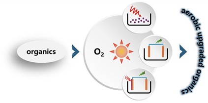 Chinese Chemical Society (CCS) (@chinesechemsoc) on Twitter photo .<a href="/CCSChemistry/">CCS Chemistry</a> Article Highlight: Innovative and Sustainable Approaches to Aerobic Oxidation Reactions for Organics Upgrading
Click to read: chinesechemsoc.org/do/10.5555/854…
#chemistry #openaccess #science #chemtwitter .<a href="/CCSChemistry/">CCS Chemistry</a> Article Highlight: Innovative and Sustainable Approaches to Aerobic Oxidation Reactions for Organics Upgrading
Click to read: chinesechemsoc.org/do/10.5555/854…
#chemistry #openaccess #science #chemtwitter