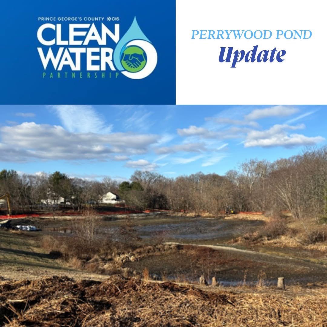 We're hard at work at Perrywood Pond, making incredible strides towards a healthier, cleaner environment! The bypass swale has been completed for the stream closure period, and excavation at the pond is well underway. 🛠️✨

Our team is dedicated to improving water quality!!!