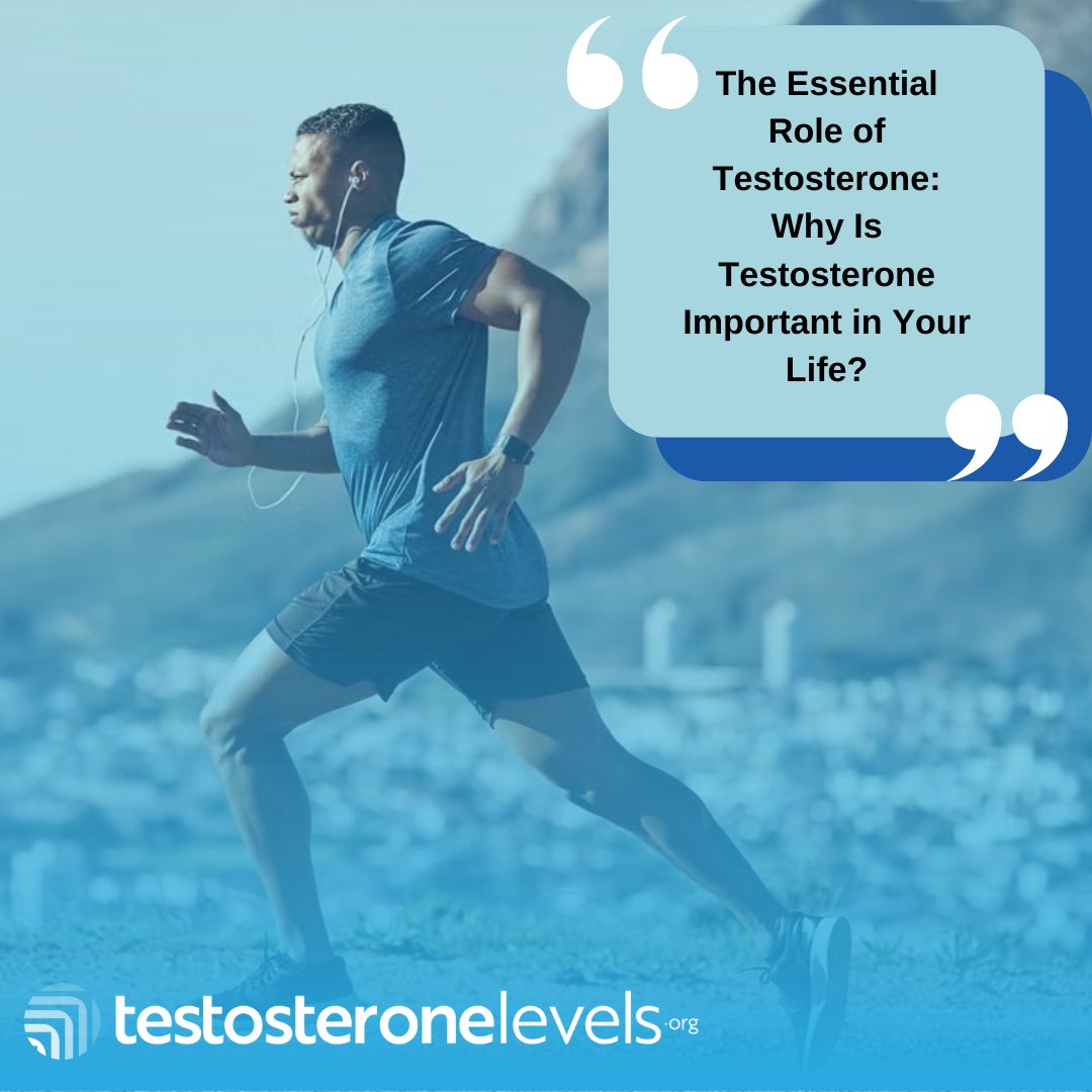 testosteronelvz's tweet image. Testosterone is key to our health, influencing everything from puberty to adulthood. 

Want to learn more about its importance and signs of low levels? 

Check out the link! testosteronelevels.org/recognizing-th…
 
💪🔬 #Testosterone #MensHealth #Hormones