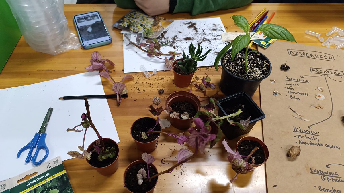 UDCbigbang tweet media