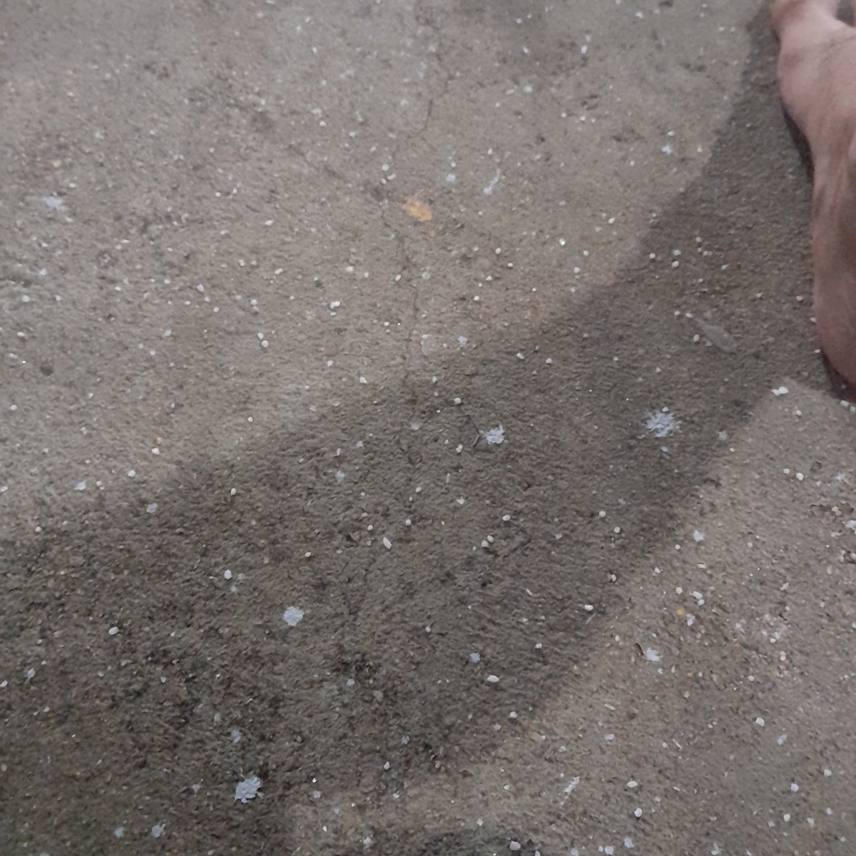 AntonioFfe6406's tweet image. #NewProfilePic