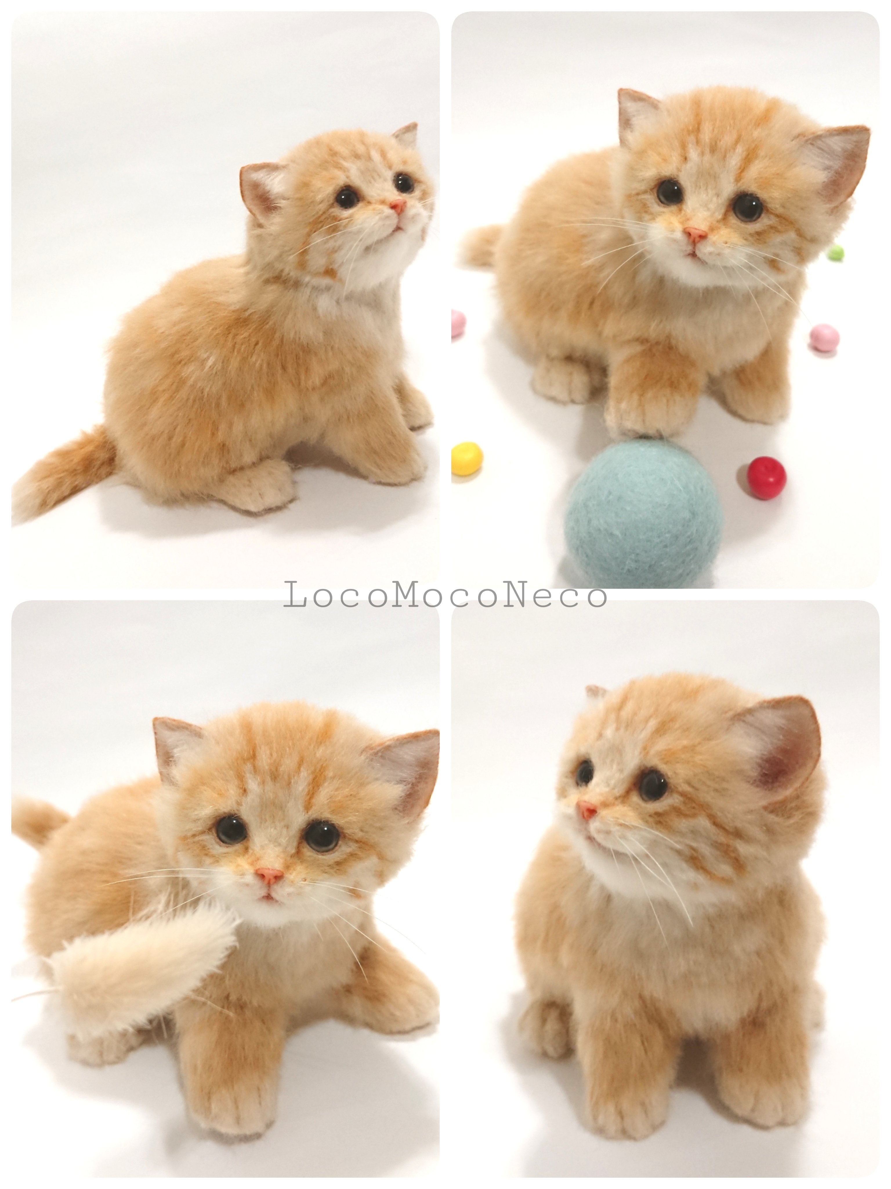 ろこもこねこ@羊毛フェルト (@LocoMocoNeco) / X ろこもこねこ@羊毛フェルト (@LocoMocoNeco) / X