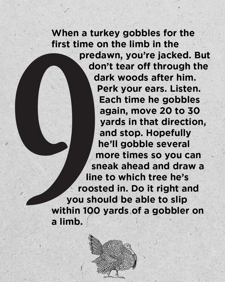 Realtree's tweet photo. Master the Woods with These 10 Old School Turkey Tips.
Link to learn more 🦃: https://t.co/rVNP2cGjMr
#Realtree https://t.co/vXUl9vJuca