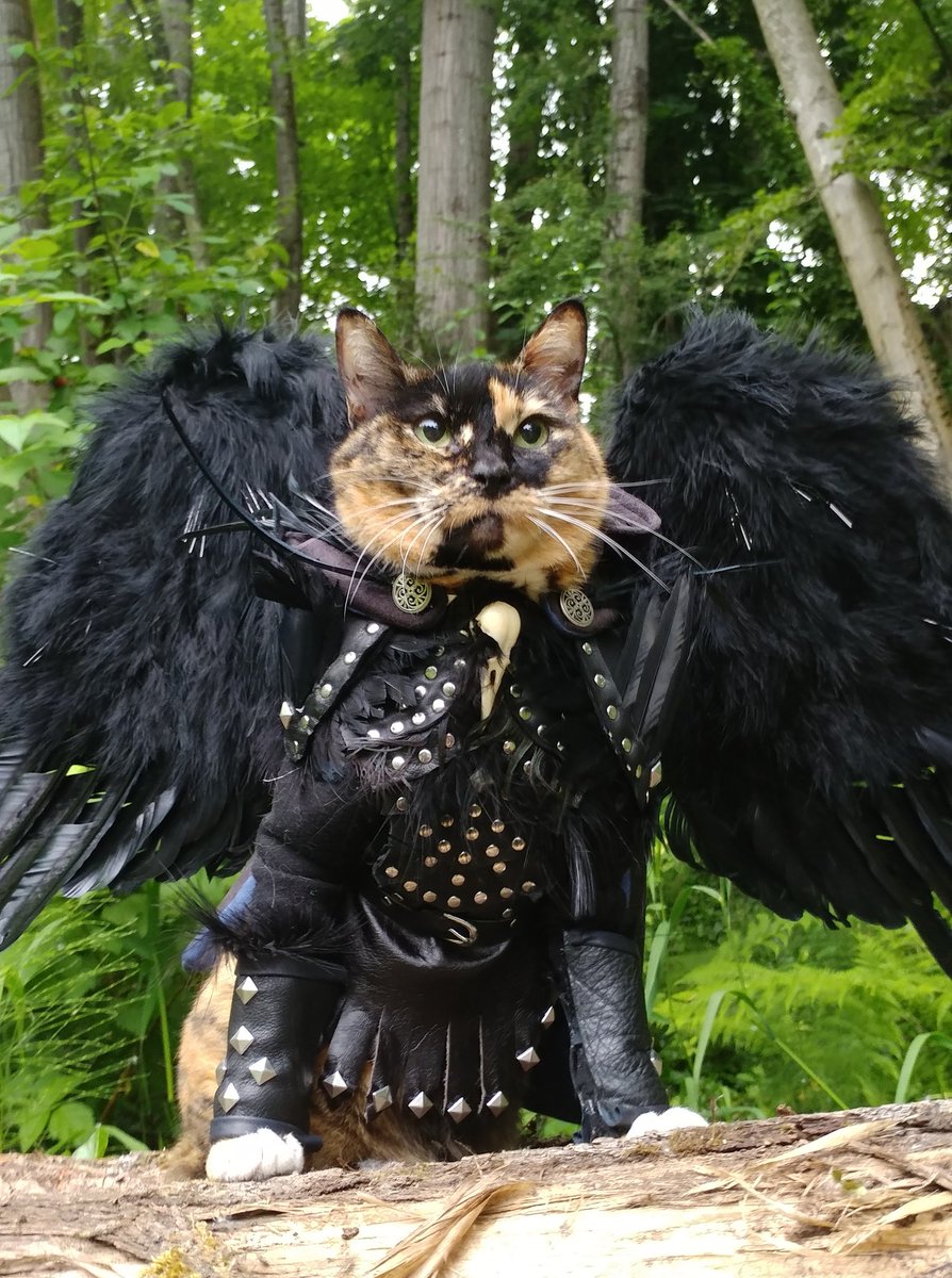 Cat_Cosplay's tweet image. Congrats on a very Happy 10 years @CriticalRole!
#CriticalRole #criticalrolefanart