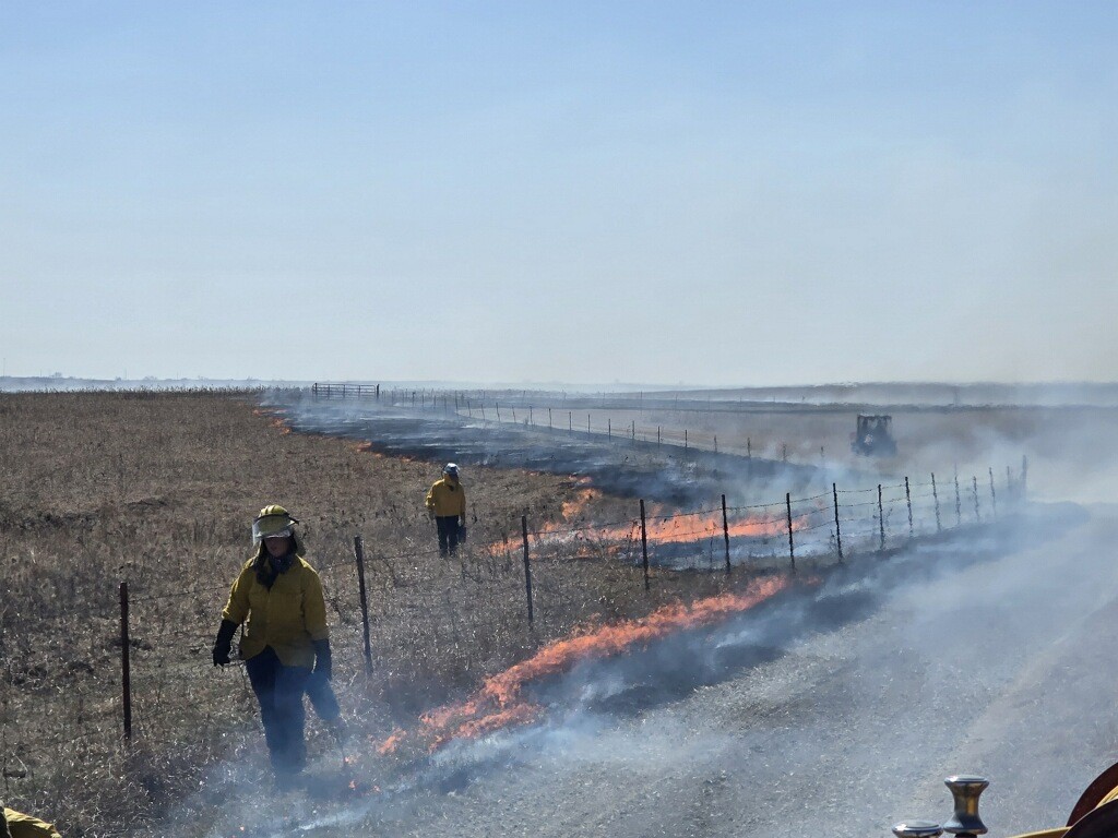 Spring burns have begun!