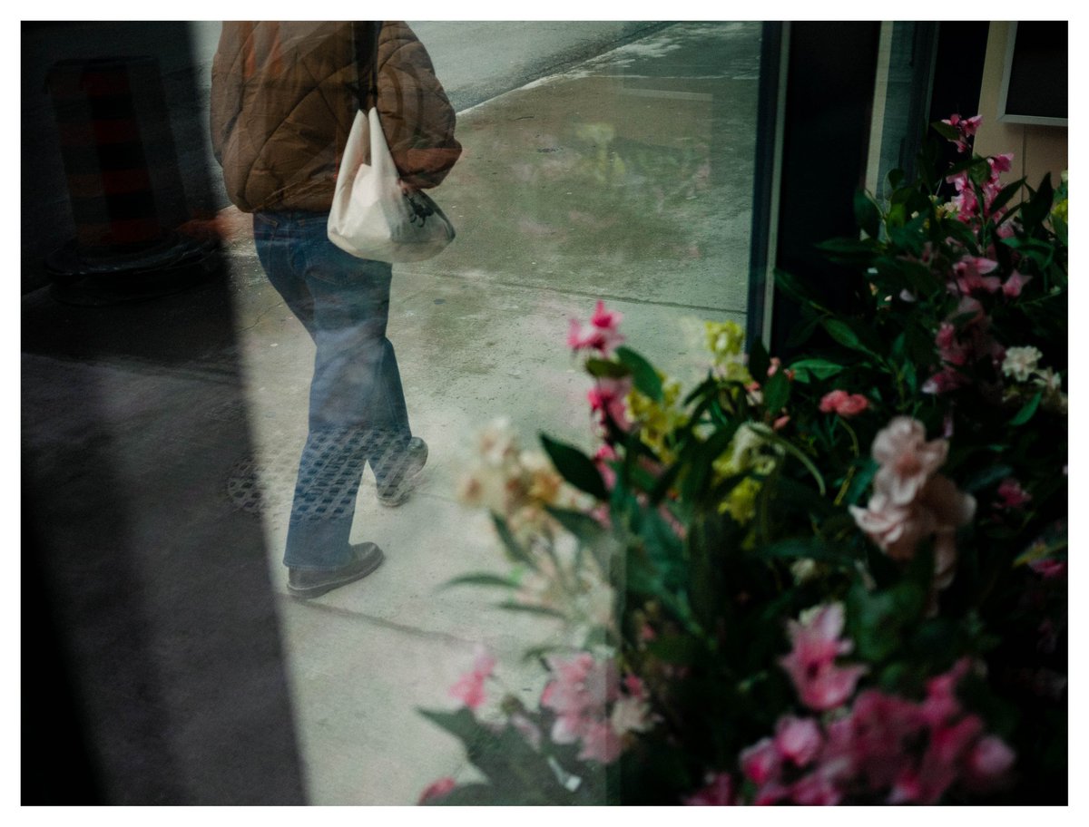 𝕹𝖔𝖘𝟒𝖆𝖙𝖚 (@4gettr) on Twitter photo 