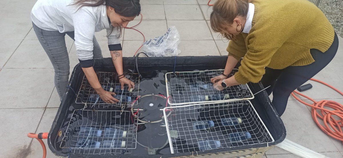 simolab_'s tweet image. Incubation day of Blanes Bay water at the @simolab_. Targeting the degradation and production rates of dimethyl sulfide (#DMS) and methanethiol (#MeSH), two climatically-relevant volatile organic compounds (VOCs).