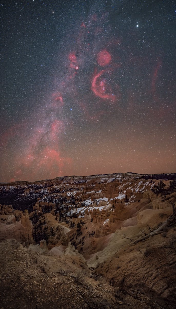 Spencer's Camera tweet media