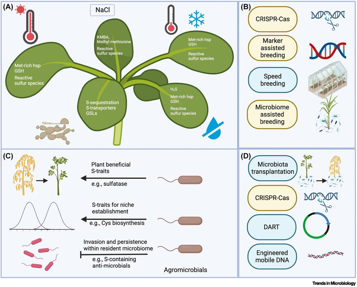 Trends in Microbiology (@trendsmicrobiol) on Twitter photo Sulfur traits in the plant microbiome: implications for sustainable agriculture
<a href="/ArijitM61745830/">Arijit Mukherjee</a>
Free access till Apr 30th: dlvr.it/TJTsn0 Sulfur traits in the plant microbiome: implications for sustainable agriculture
<a href="/ArijitM61745830/">Arijit Mukherjee</a>
Free access till Apr 30th: dlvr.it/TJTsn0