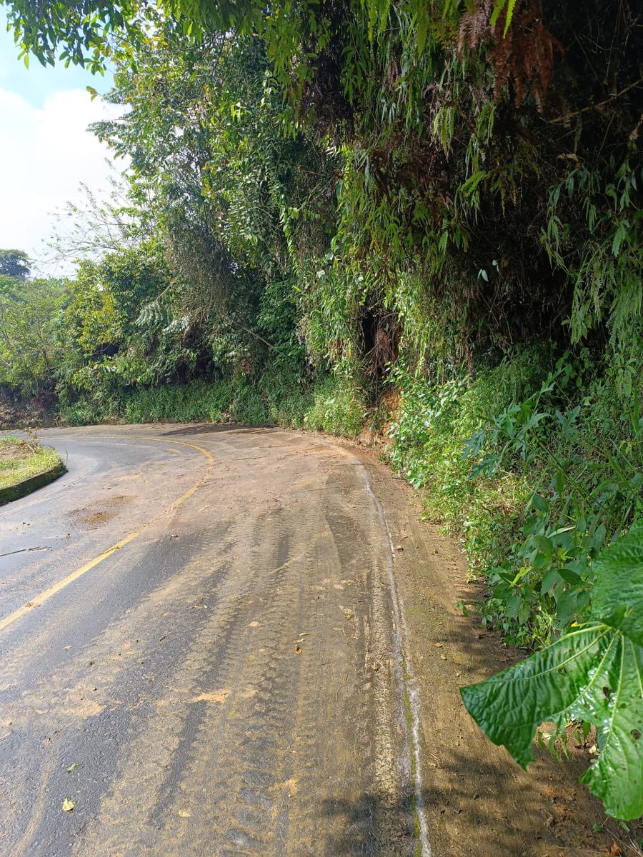 Continuamos trabajando en el basureo de las vías: Cañaveral, Rancho Largo, El Codo, el sector Cortinas y Río La Miel, en el municipio de Samaná, con el apoyo de un minicargador y una volqueta.

#Caldas #Samaná #PromueveMás #Vías