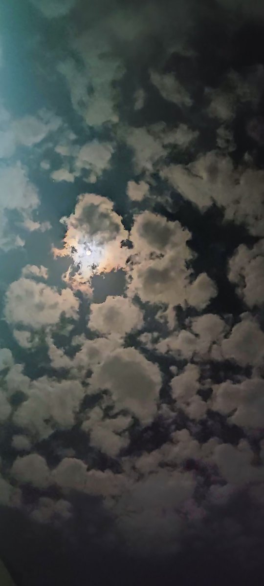 K_alseyabi's tweet photo. مهلاً رمضان ! ما أسرع خطاك..
تأتي على شوق وتمضي على عجل🤍🌿.
يارب تقبل منا ما مضى وأعنّا على ما بقى، وأعتق رقابنا من النار . https://t.co/lrMH6trc89