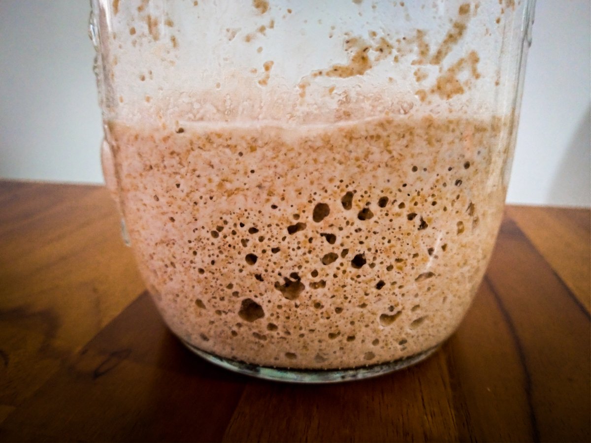 SourdoughWeekly's tweet photo. Sourdough starter is not one-size-fits-all.

What does this mean?
Follow the thread:🧵 https://t.co/0Rd0J0EArs