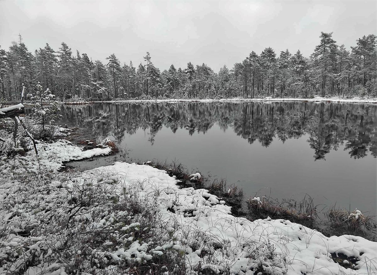 Fint idag, som en härlig novemberdag. #Hedared