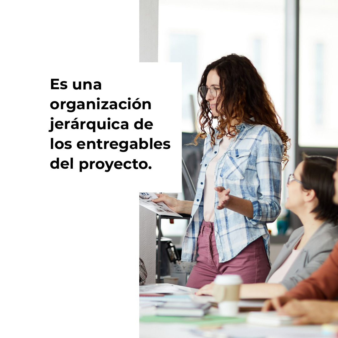 PM4_Results's tweet photo. #PM4RProfessional | Una EDT no representa la secuencia de ejecución, es una organización jerárquica de los entregables del proyecto.
En una EDT no se deben utilizar verbos, no tiene tiempos, costos ni recursos.

#ProjectManagement #Professional #BIDAcademy #AcademiaBID https://t.co/isMa2vYPQe