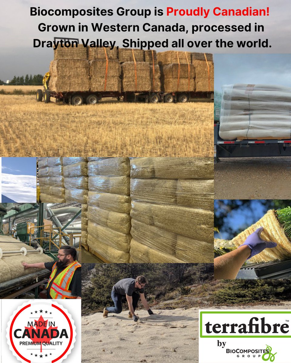 PROUD Canadians here!  The hemp straw we use is grown in Western Canada, processed in Drayton Valley, Alberta, and packaged into all of the terrafibre.ca hemp products that are shared around the planet.  Let us know how we can help you out. #hemp #proudlycanadian
