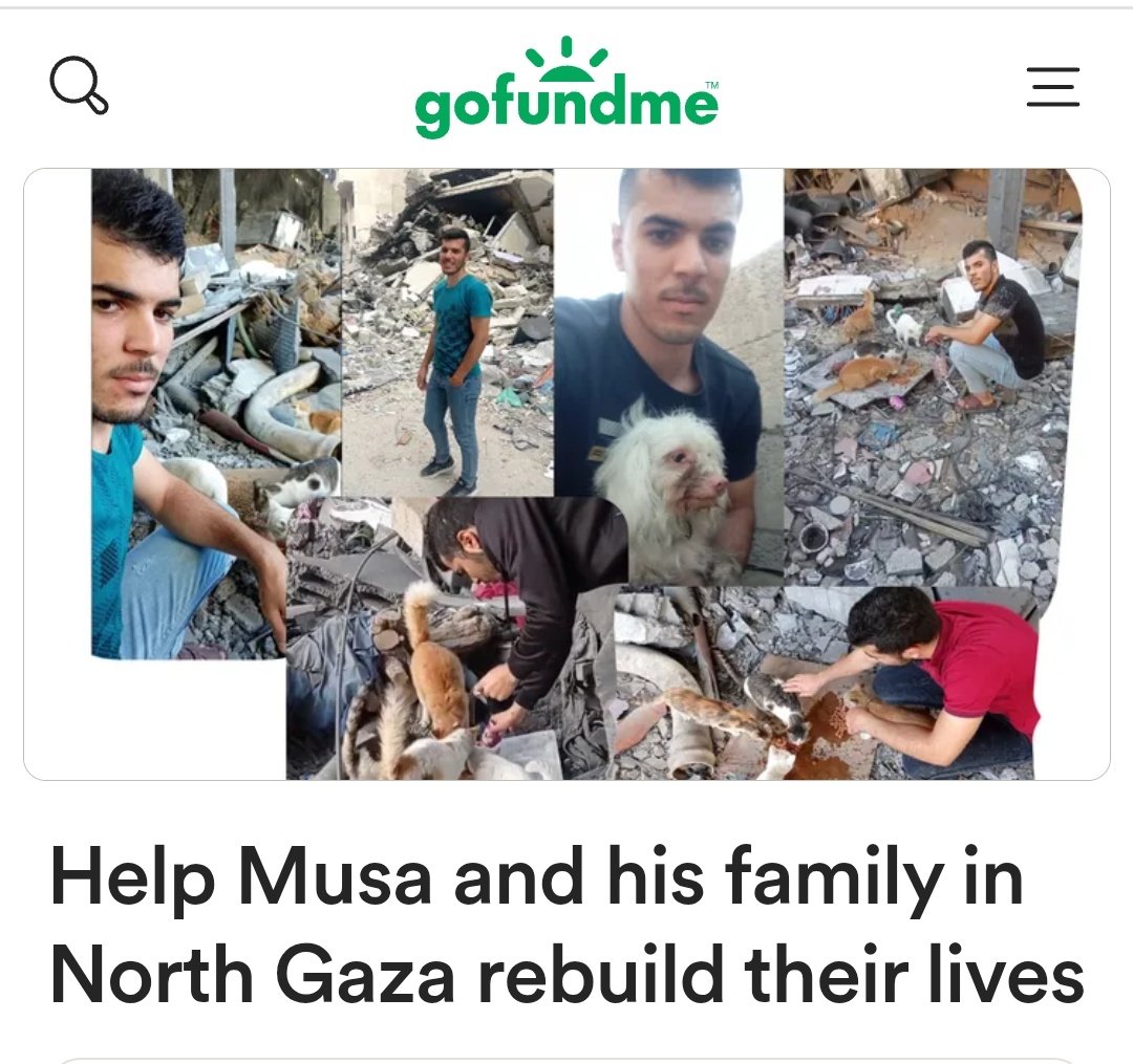 loverAnimalBest's tweet image. Urgent to my family🆘Thank God I was able to get our food on the twelfth day Please help me get our food on the thirteenth day Please do not leave us without food like the past days I swear to you that it was difficult for my family Your small donation will save my family’s life