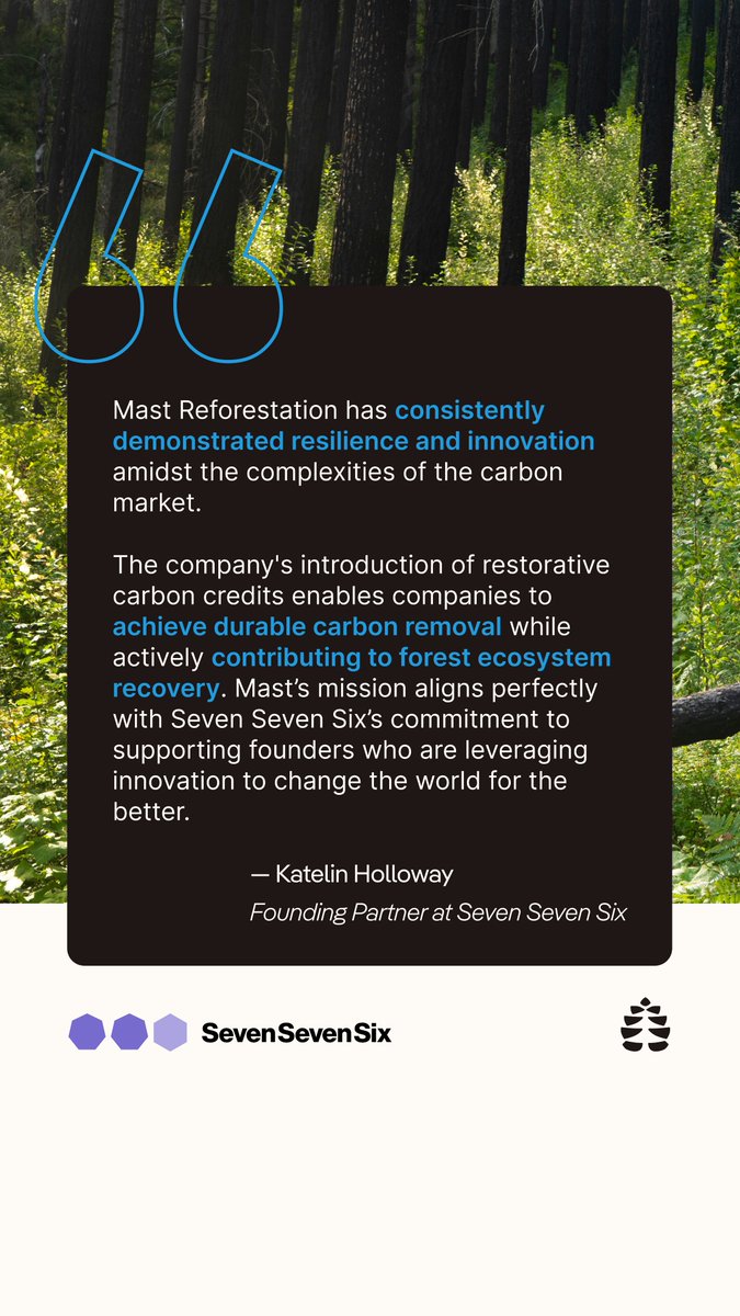 Mast Reforestation tweet media