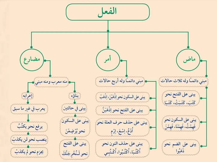 #الفعل