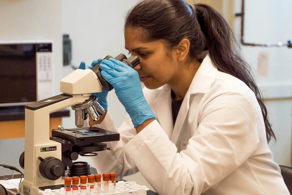 Science in Seattle (@science_seattle) on Twitter photo The Washington Research Foundation has pledged $10M over 5 years for a new program led by <a href="/uwmnewsroom/">UW Medicine Newsroom</a>, <a href="/BrotmanBaty/">Brotman Baty</a>, & <a href="/AllenInstitute/">Allen Institute</a>.
The program, SeaBridge, will advance cell and genome reprogramming technologies to address a wide range of diseases: bit.ly/4imIamN The Washington Research Foundation has pledged $10M over 5 years for a new program led by <a href="/uwmnewsroom/">UW Medicine Newsroom</a>, <a href="/BrotmanBaty/">Brotman Baty</a>, & <a href="/AllenInstitute/">Allen Institute</a>.
The program, SeaBridge, will advance cell and genome reprogramming technologies to address a wide range of diseases: bit.ly/4imIamN