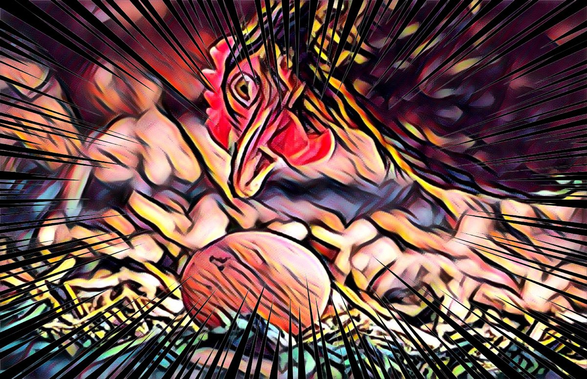 musharbash_b's tweet image. This was one of the of most insane monopolization schemes I've ever uncovered: Two secretive European companies rolled up every alternative supplier of egg-laying hens to American egg producers between 2010 and 2021—and have spent the past three years cashing in: raising hen…